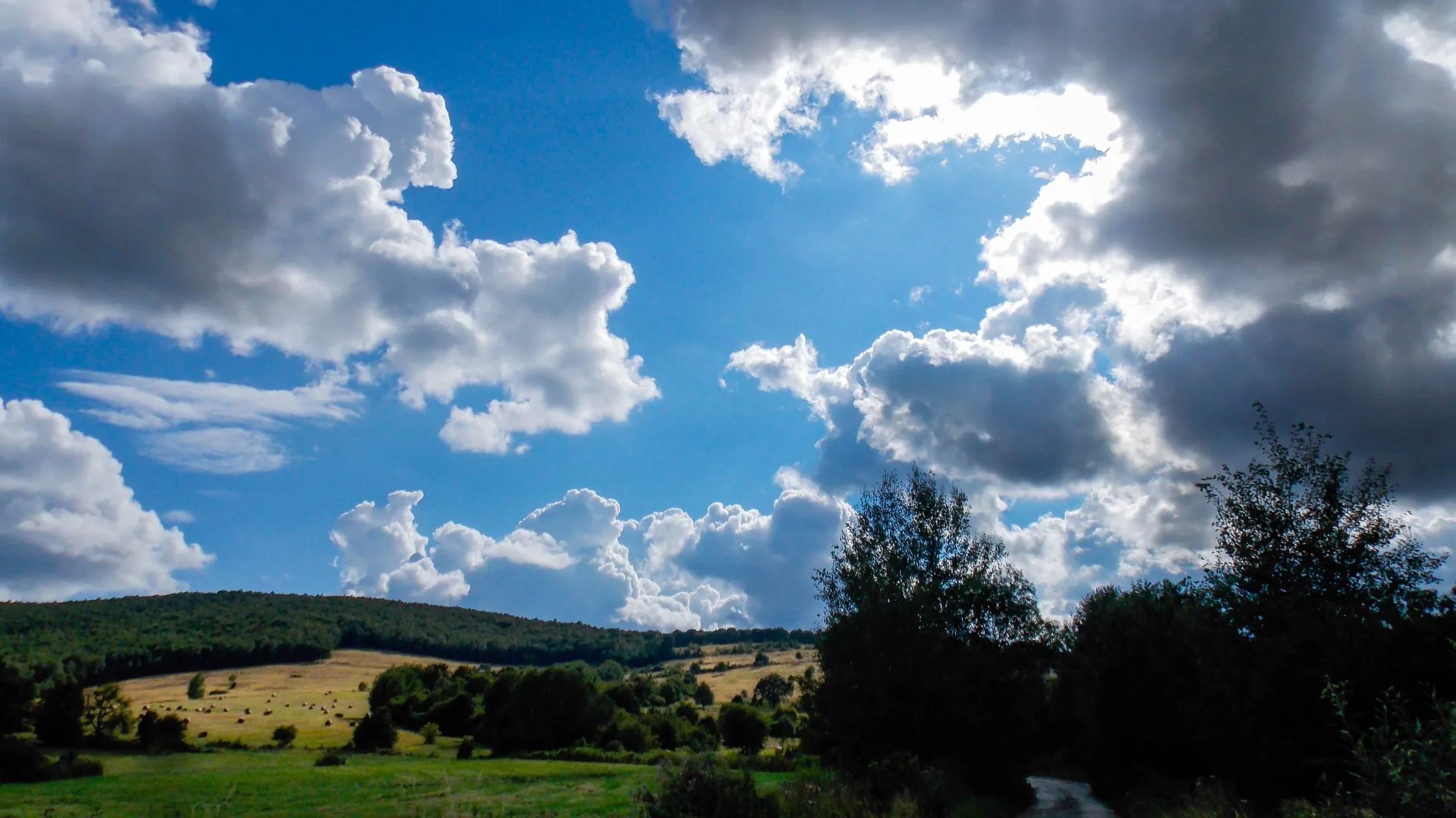 Popular Questions About Remote Work And Slow Travel